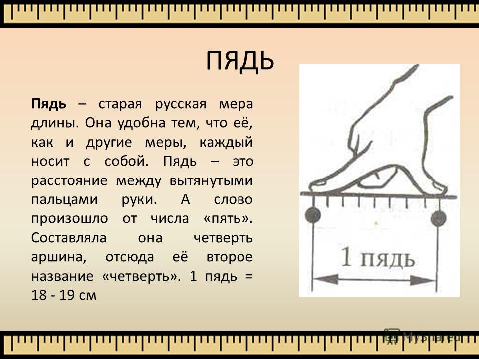 Пядь